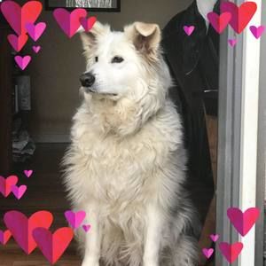 Meet your Posher, Renae